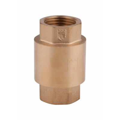 Зворотний клапан SD Forte 2&quot; SF240W50