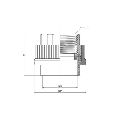 Муфта PPR Thermo Alliance 63х2&quot; ВР (20456) - изображение 2